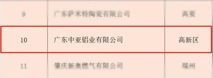 廣東中亞鋁業(yè)-3.jpg